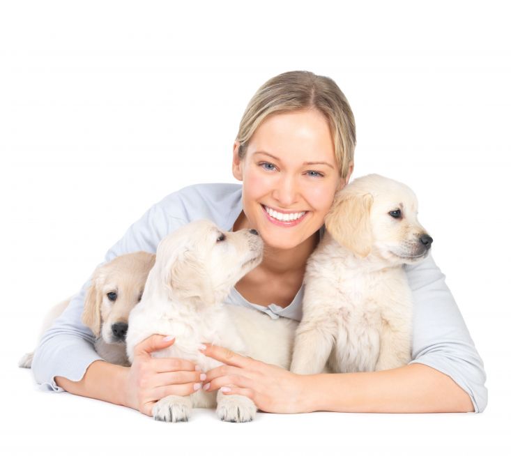 Dog Daycare Services in Chicago Can Help Working Doggy Parents