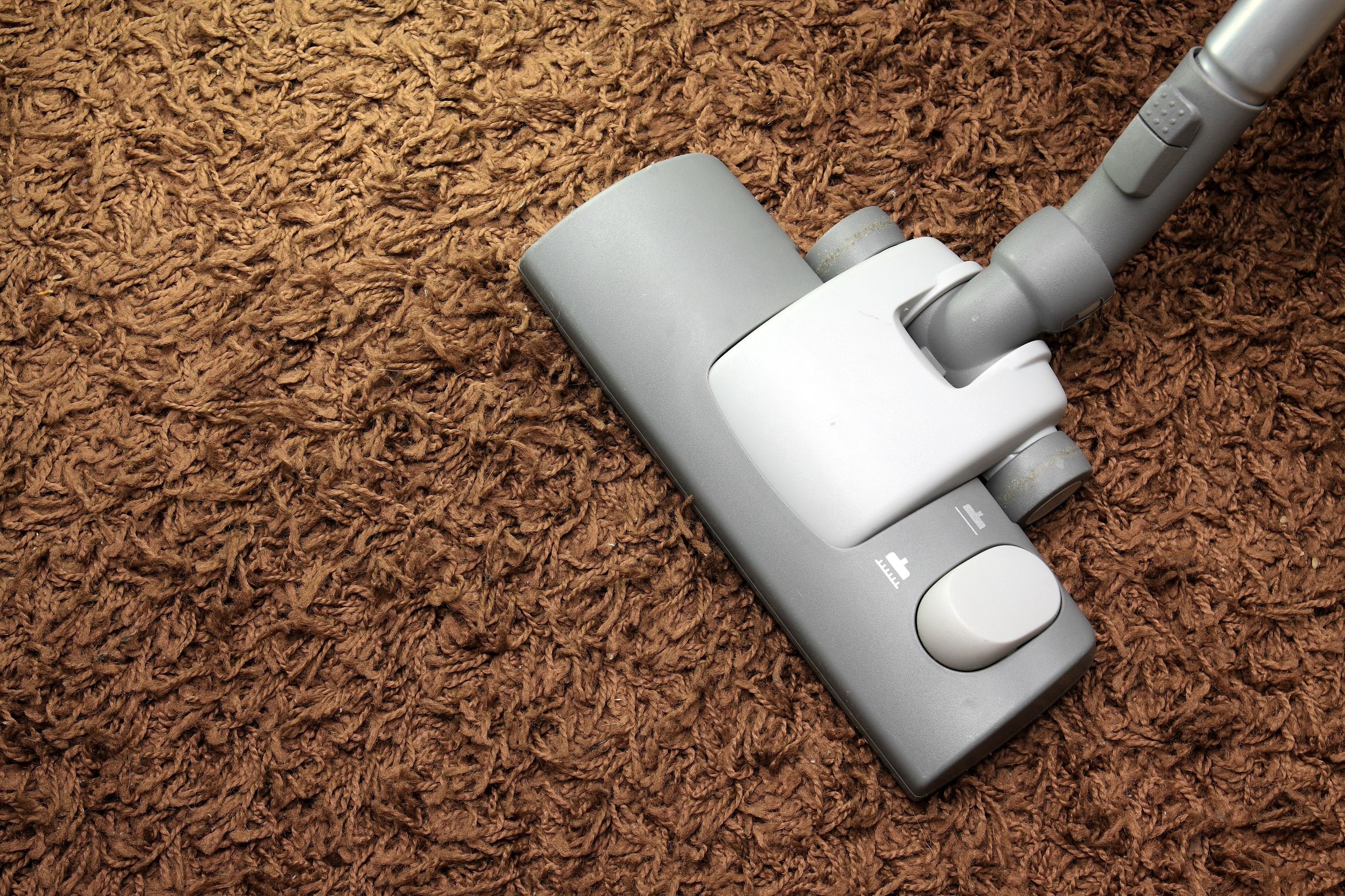Maintaining Office Health With Commercial Carpet Cleaning Service Draper UT Solutions