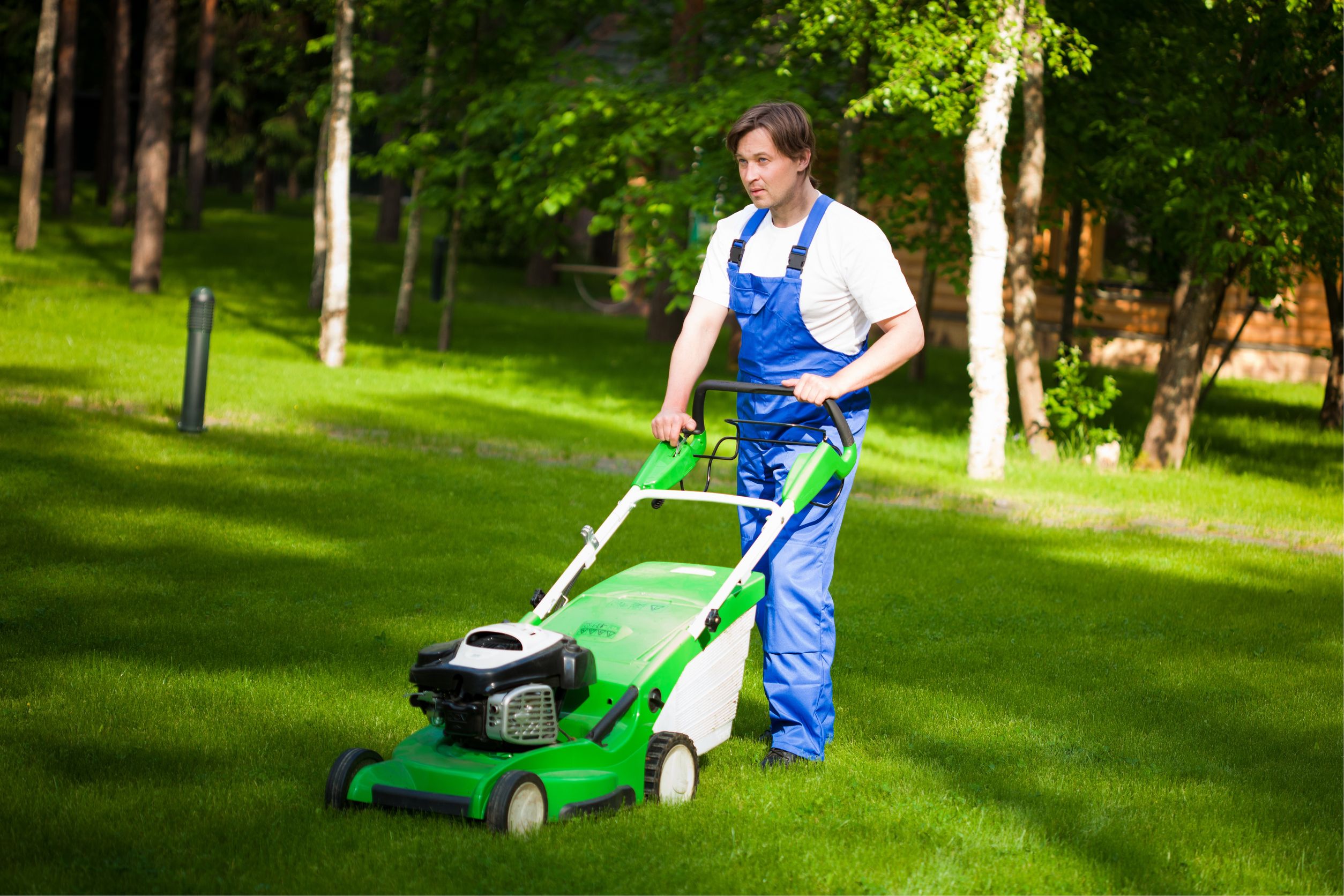 Breathe New Life Into Your Lawn With Lawn Care Treatments in Moline, IL