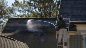 Soft Wash Roof Cleaning in Fayetteville, the Better Way to Clean Your Roof