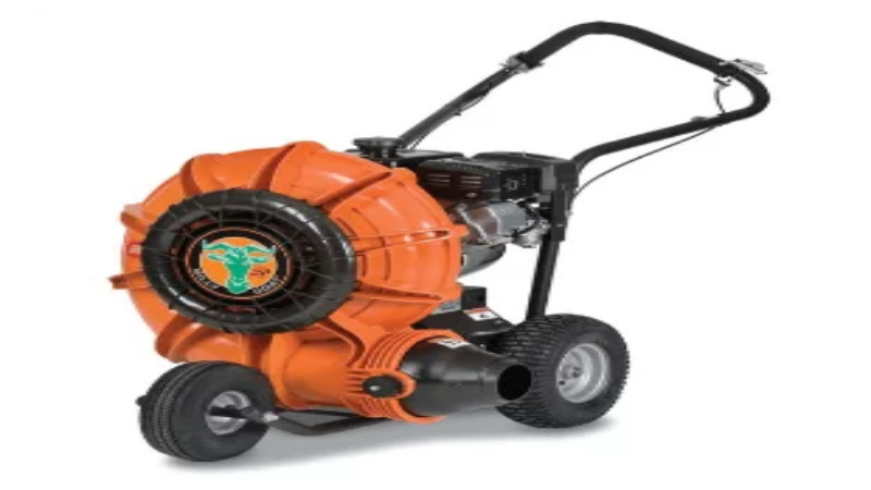 Why You Should Rent the Best Brush Cutter in Georgia at the Fairest Rate