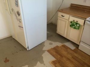 Reasons to Hire a Professional for Flooded Basement Cleanup in Aurora CO