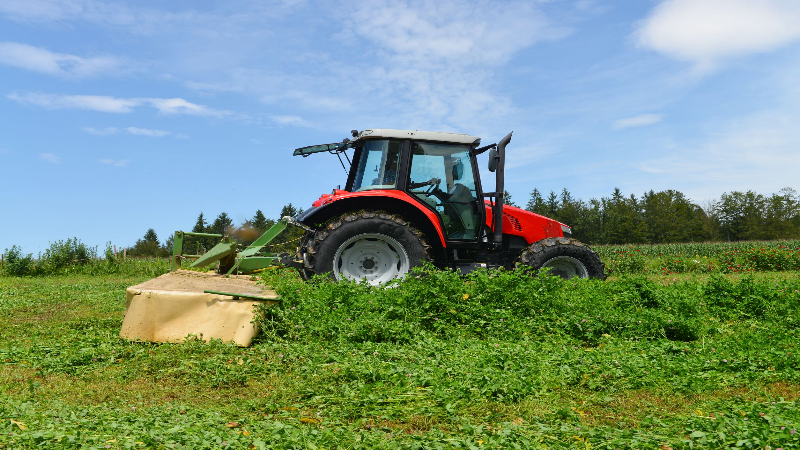 Companies Offering Ag Consulting in Avon, IN Can Bring Your Farm to the Next Level