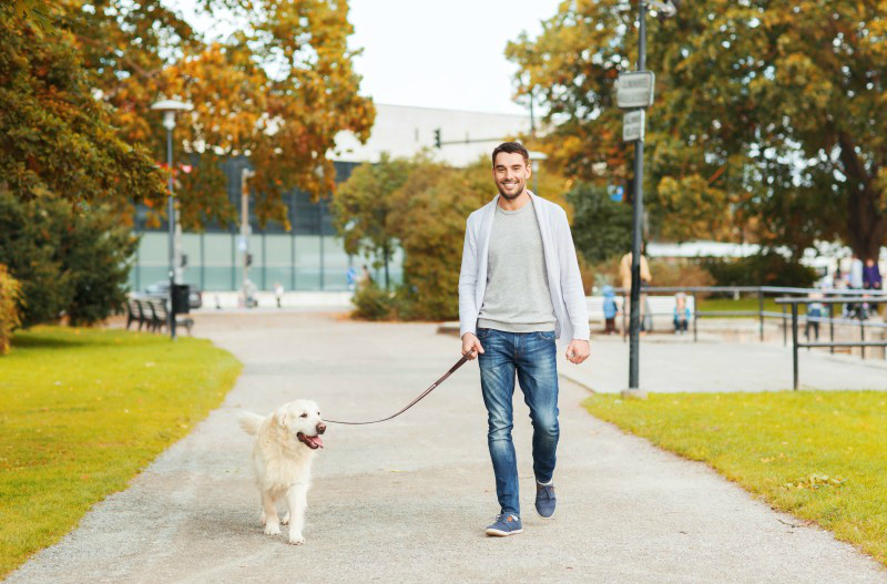 How to Find the Best Dog Walker and Pet Sitter in New York City