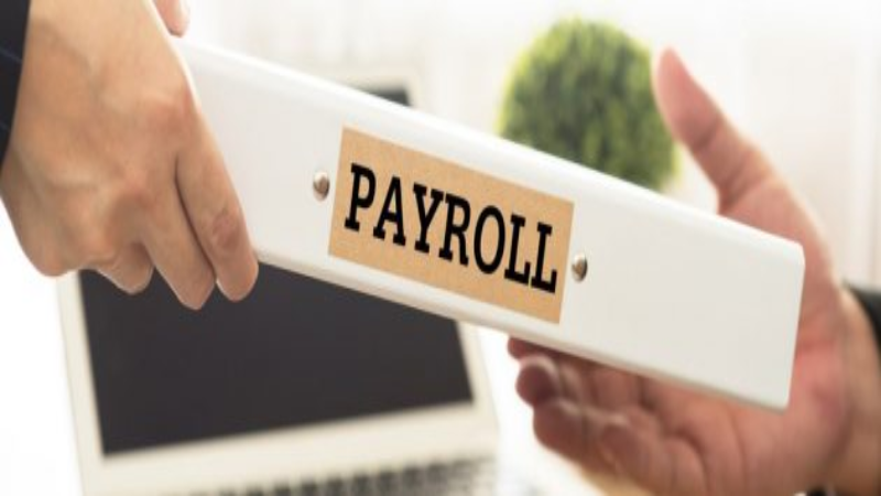 What to Know About PEO Payroll Services