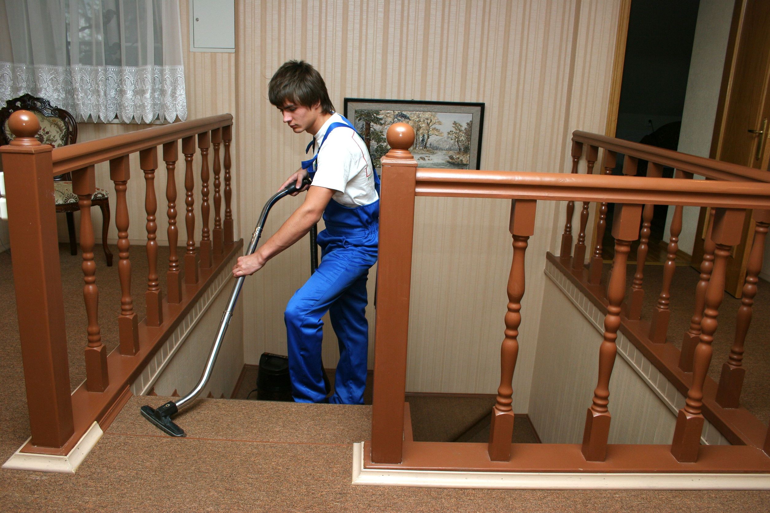 Carpet Cleaning Services in Raleigh NC Remove Allergens and Dirt