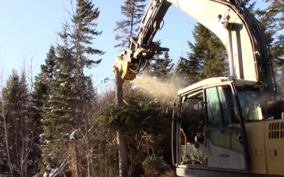 If You Need a Mulcher for an Excavator, You Have a Lot of Options Available