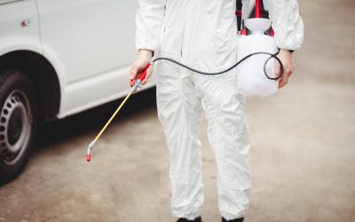 4 Health Benefits of Prompt Pest Control in Rochester, MN