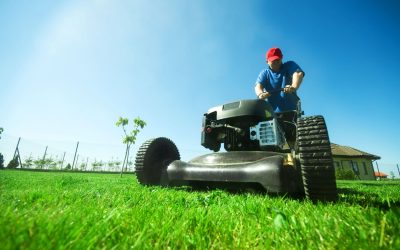 Lawn Mowing Twin Cities: Perfect Your Yard with Expert Care