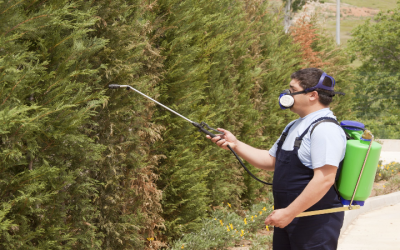 Effective Pest Control Near Newnan, GA: Keep Your Home Bug-Free