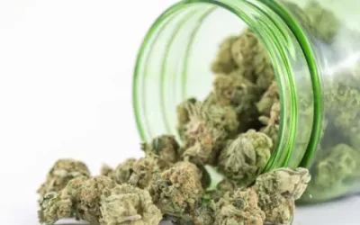 Buying Made Easy With an Online Cannabis Store Biloxi MS Residents Can Trust
