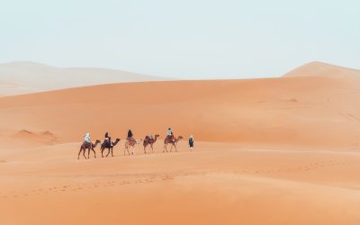 Make the Most of Your Vacation with a 3 Day Marrakech To Fez Road Trip Guide