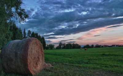 Save on Farming Costs with Bulk Net Wrap, Pittsburgh, PA Solutions for Large Operations