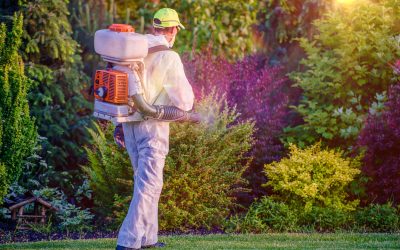 Achieve a Greener Yard with a Lawn Fertilizer Service Bartlett, TN Homeowners Recommend