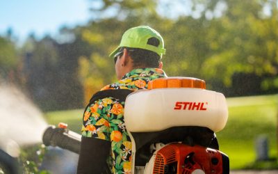 Enjoy Bite-Free Summers with mosquito yard treatment Haymarket VA for Effective Outdoor Protection