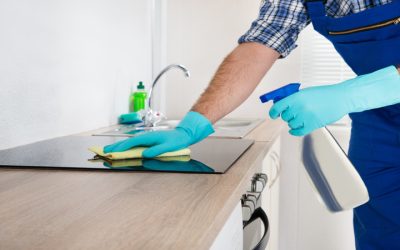 Allergy Relief Starts with House Cleaning Services In Grand Rapids, MI, for Your Family