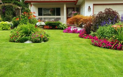 Transform Your Outdoor Space With a Landscaper in Plymouth, MN, Homeowners Trust for Results