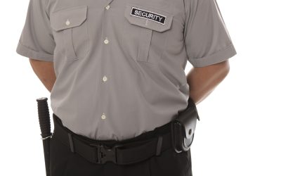 The Importance of Choosing a Professional Security Guard Los Angeles CA for Home Protection