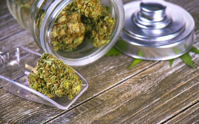 Recreational Dispensaries Steamboat Springs CO Provide Locally Sourced Cannabis Options