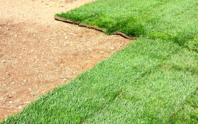 Transform Your Yard with Professional Sod Replacement in Temecula CA