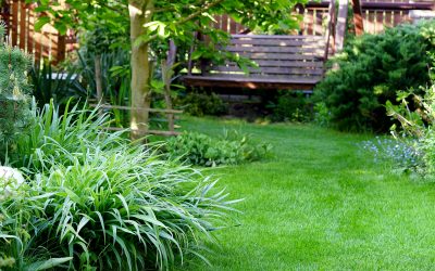 Transform Your Yard With Landscaping Maintenance Services in Lincoln, NE, for Lasting Beauty
