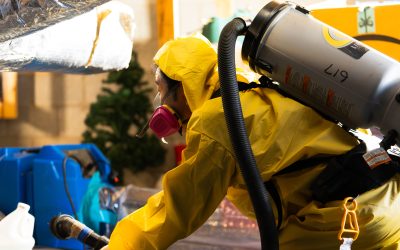 What to Expect from Biohazard Clean Up in Peachtree City, GA, Services for Your Safety