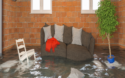 How Water Damage Restoration Maple Grove Experts Can Safeguard Your Home Fast