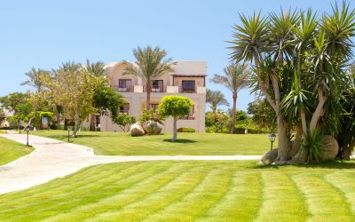 Enhance Curb Appeal With Residential Landscaping in for a Lush Home Retreat