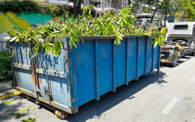 Save Time and Money With a 20 Yard Dumpster Rental in Dublin, OH for Your Next Project
