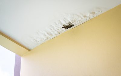 Homeowners Guide to Fast and Reliable Drywall Hole Repair Rome GA Solutions