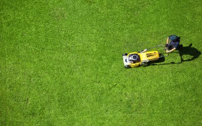 How lawn treatment services in Huntsville, AL, can improve your curb appeal fast