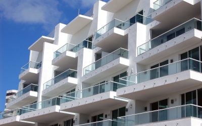 Making Moving Simple With Pet-Friendly Apartments In Summerville, SC