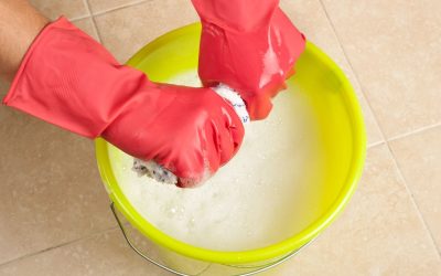 Unlock Cleaner Living With Home Cleaning Services In St Paul, MN, for Busy Households