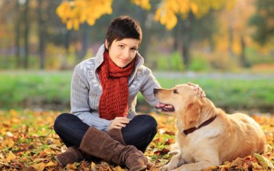 Traveling Soon, Find Comfort With a Dog Boarding Center In Denver Families Prefer