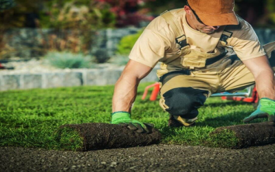Front Yard Landscape Installation Ideas For Peoria Homes With Limited Outdoor Space