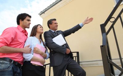 Protect Your Home Investment with Termite Inspection Princeton in Township, NJ Solutions Today