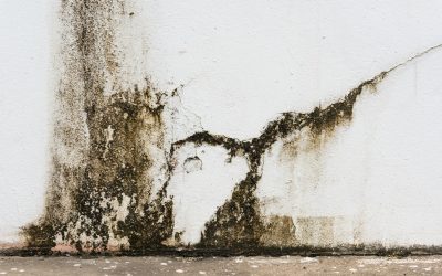 The Benefits of Choosing Damage Restoration Services Daytona Beach, FL for Storm Recovery