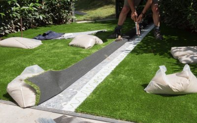 Achieve Backyard Perfection Using a Sod Company in Temecula, CA, Homeowners Recommend