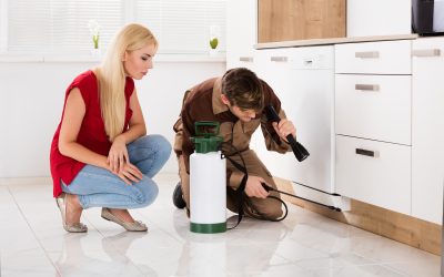 What Do Pest Control Inspections Check Around Irrigation Boxes and Utility Lines?