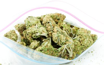 Experience the Difference When You Buy THCA Online From Trusted US Sources